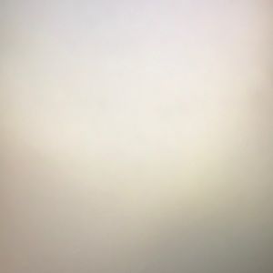 Meet your Posher, Jazmin